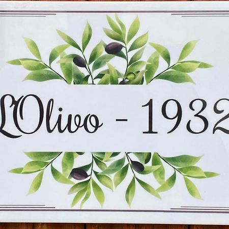 L'Olivo - 1932 Apartment Controguerra Екстериор снимка