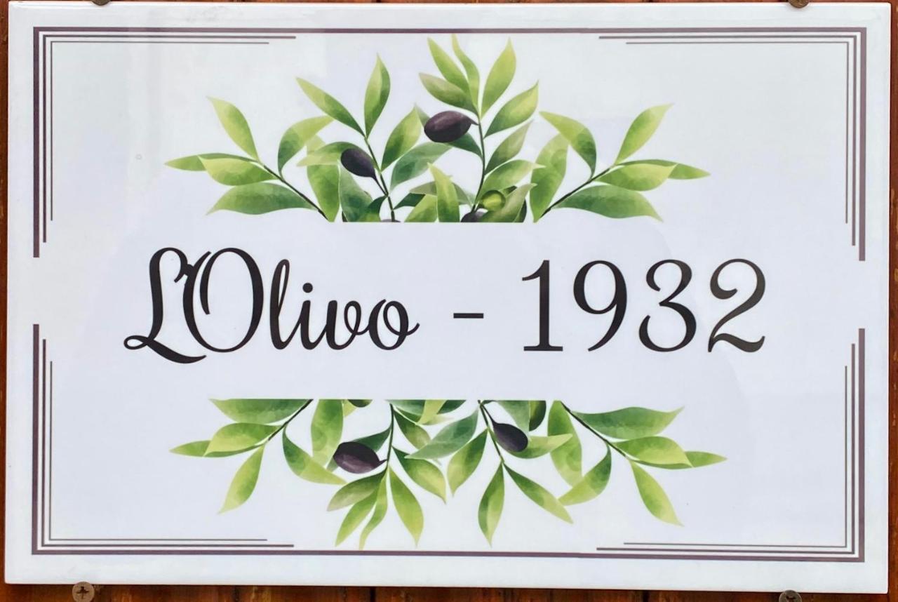 L'Olivo - 1932 Apartment Controguerra Екстериор снимка